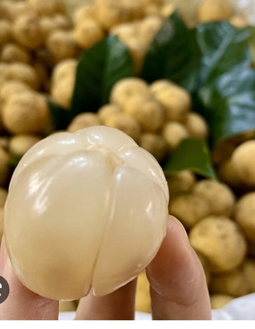 Cây bòn bon thái