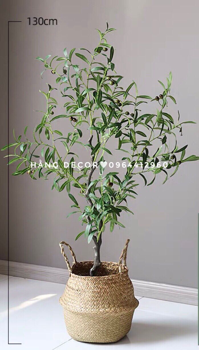 Cây giả cao cấp - cây oliu giả (size 85cm và 130cm) hằng decor