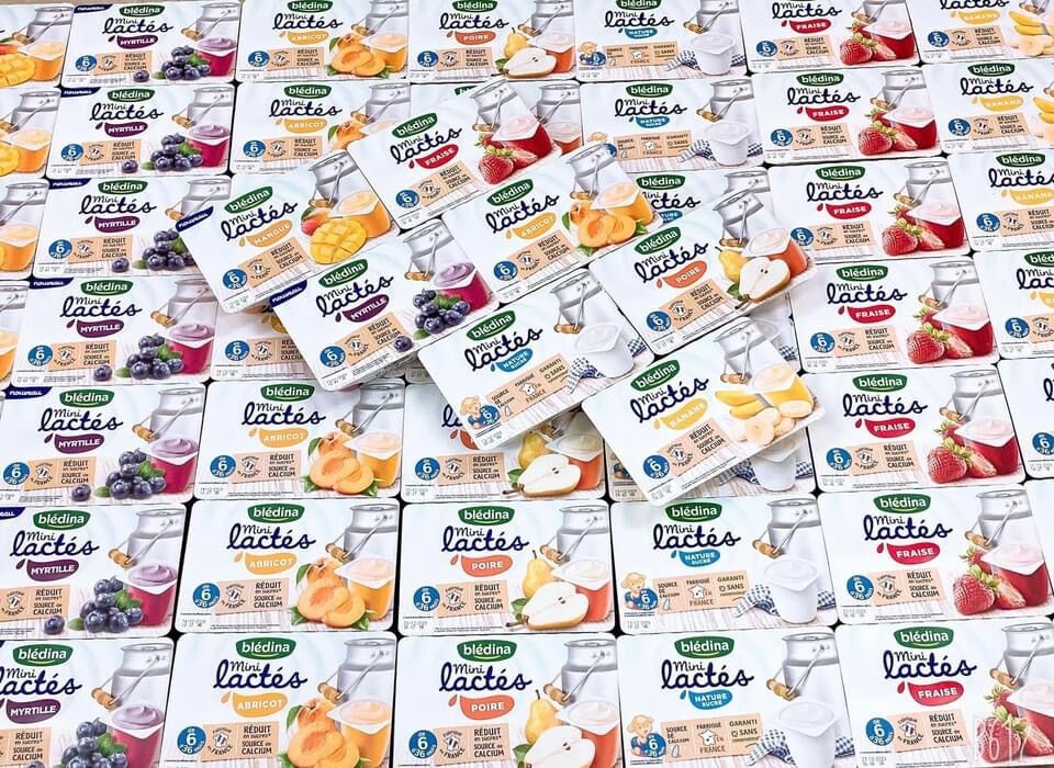 Sữa chua nguội bledina pháp nhiều vị