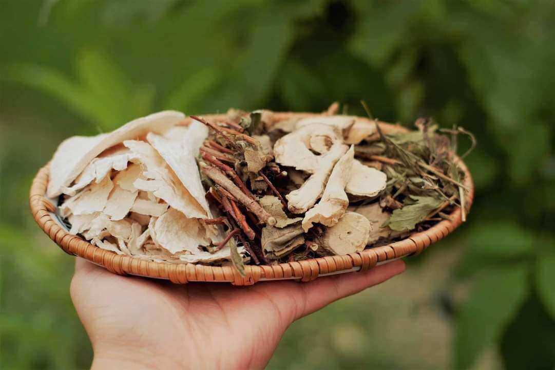 Trà sâm Tố nữ 7 gói dùng thử