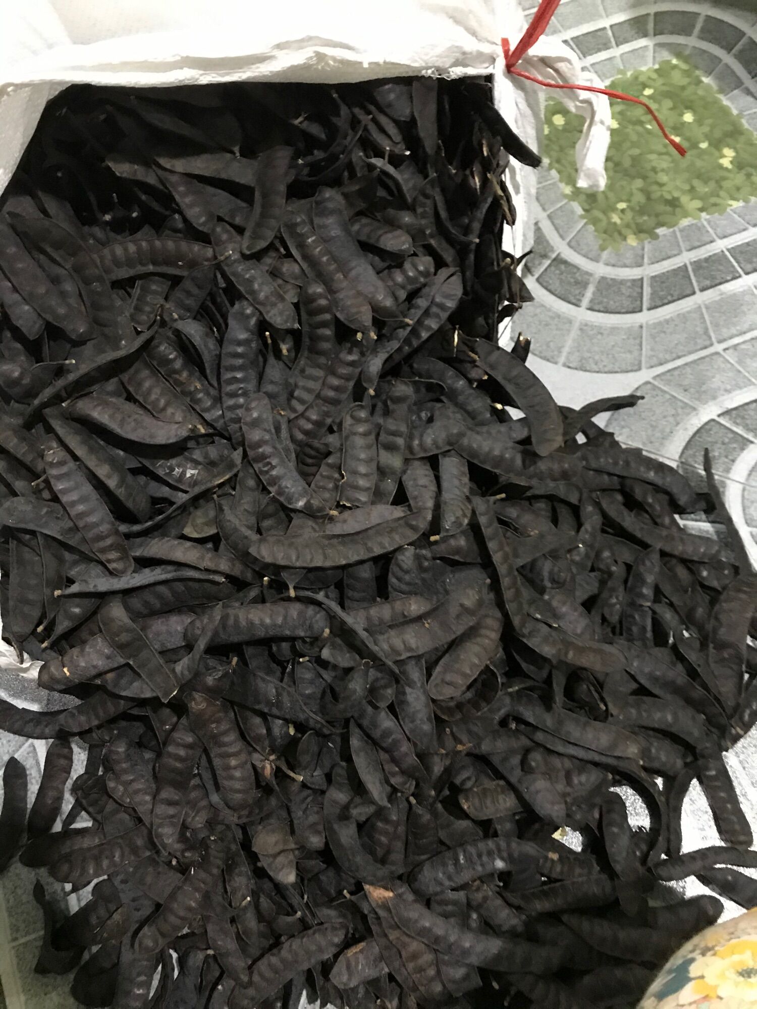 Bồ kết khô 1kg ( quả mẩy đẹp)