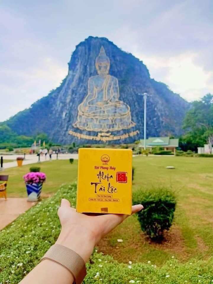 Bột phong thủy Tuệ Tâm (62 Túi)