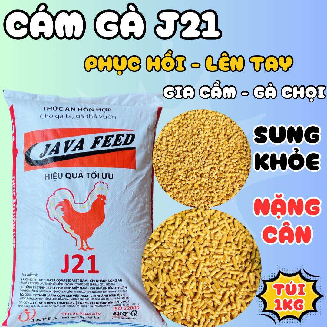 Cám gà j21 giúp gà lên tay, phục hồi, sung căng, thèm ăn mau lớn túi 1kg