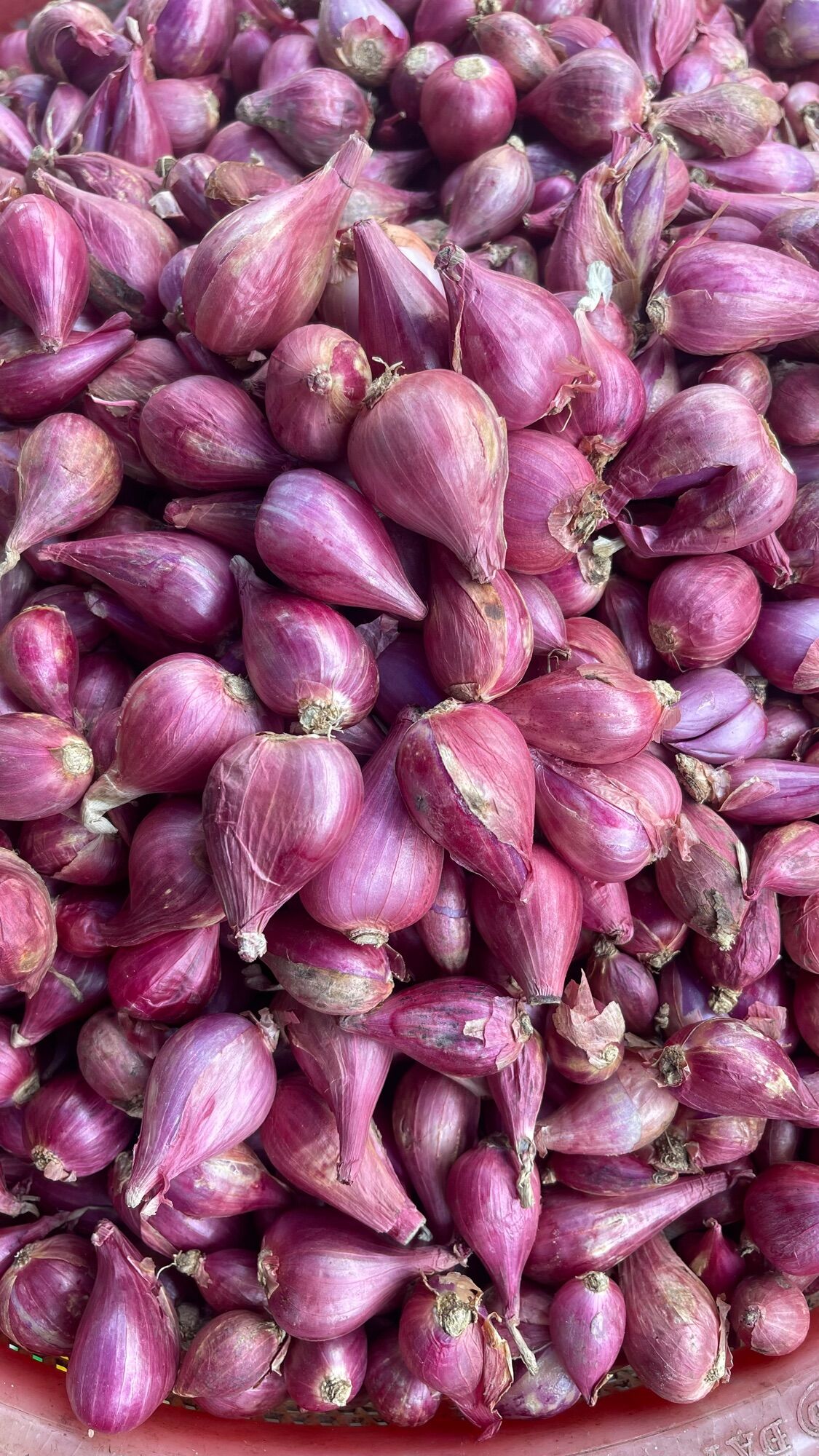 Hành tím lý Sơn quảng Ngãi 500g