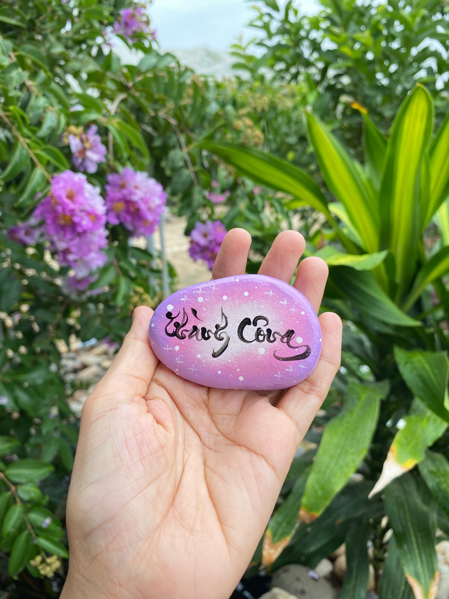 Hòn đá biết ơn 5 chữ khác nhau