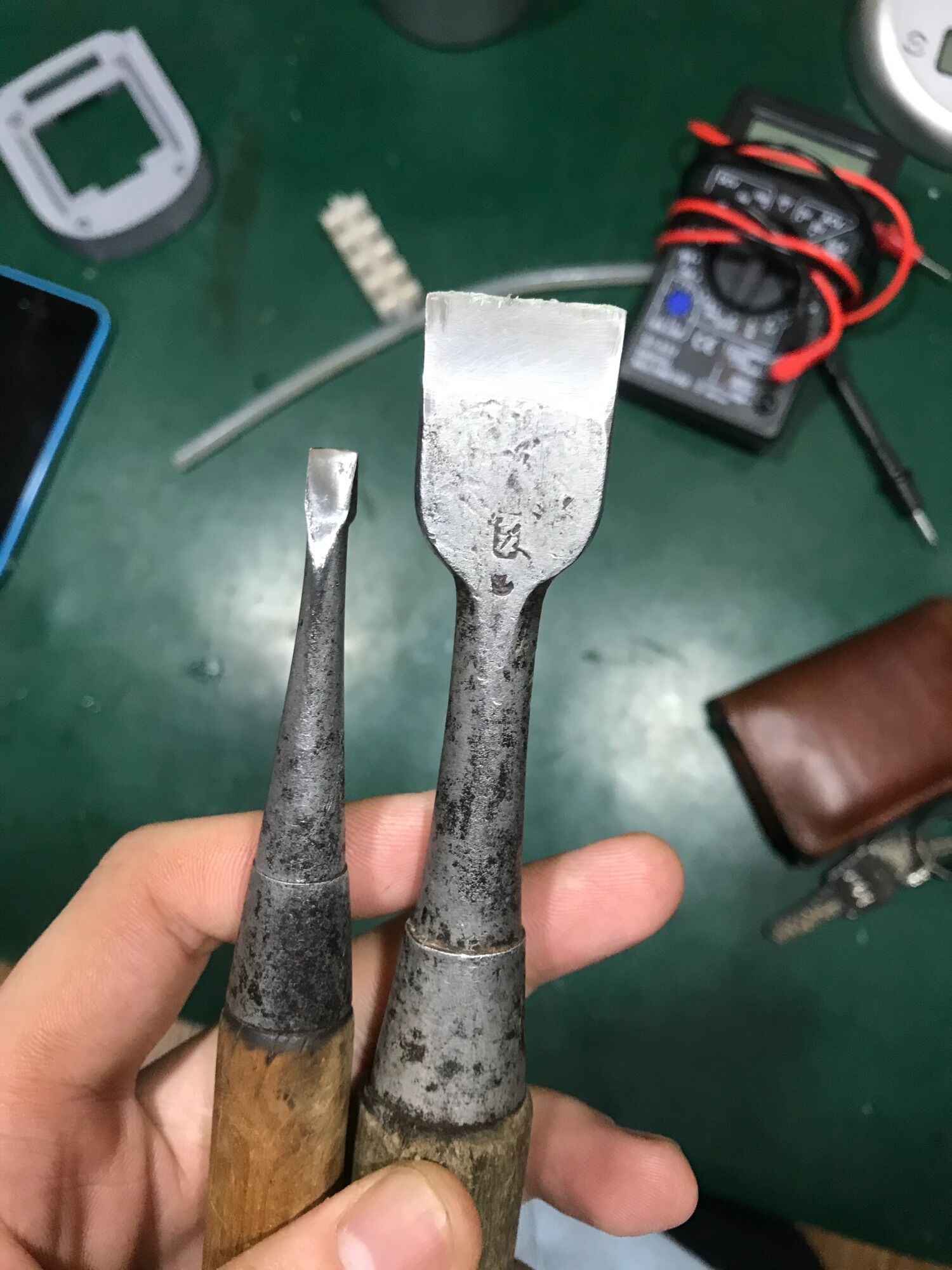 Đục bãi nhật