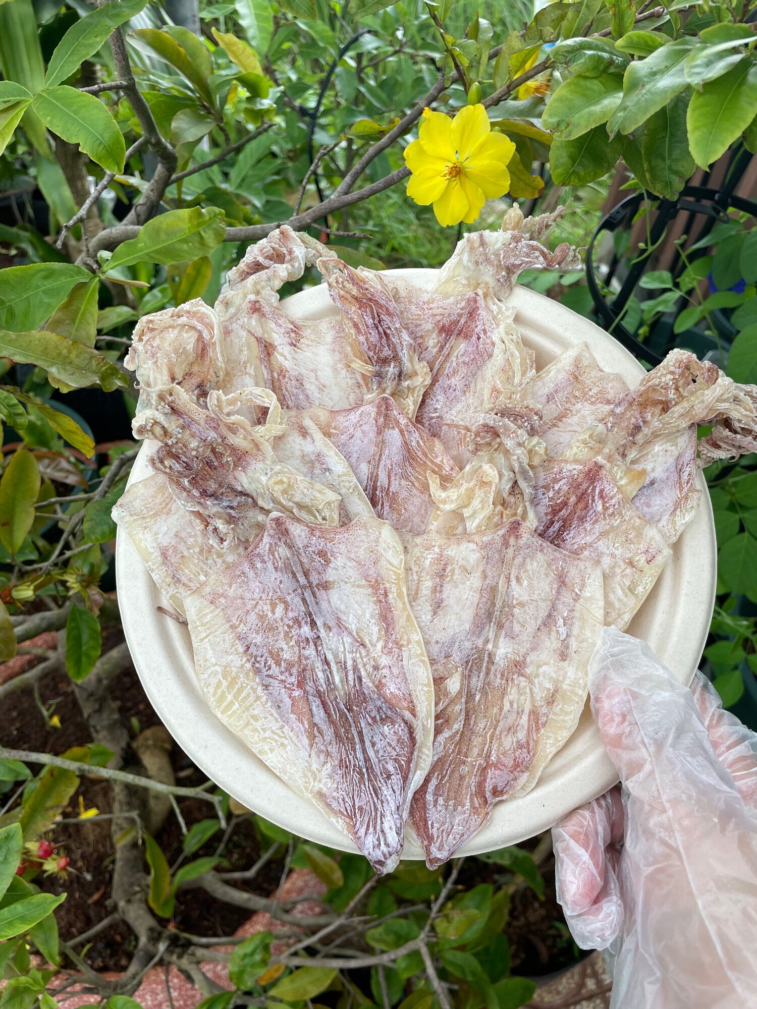 Khô kiên giang- /mực khô/loại 1/size 40-45 con/1kg. hải sản khô đảo nam du chất lượng bao ngon.