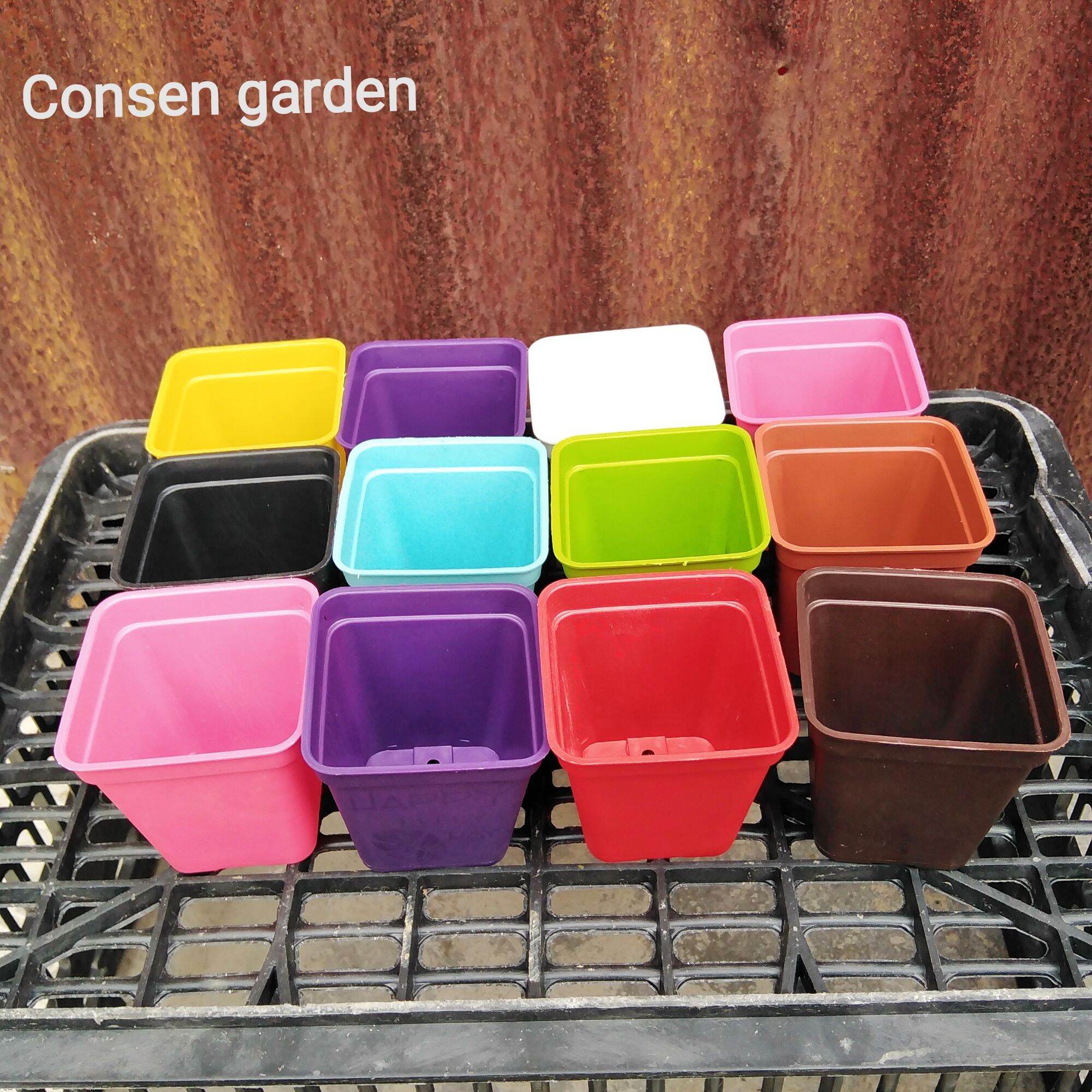 Combo 10 chậu nhựa 7x7cm trồng sen đá, ươm hạt