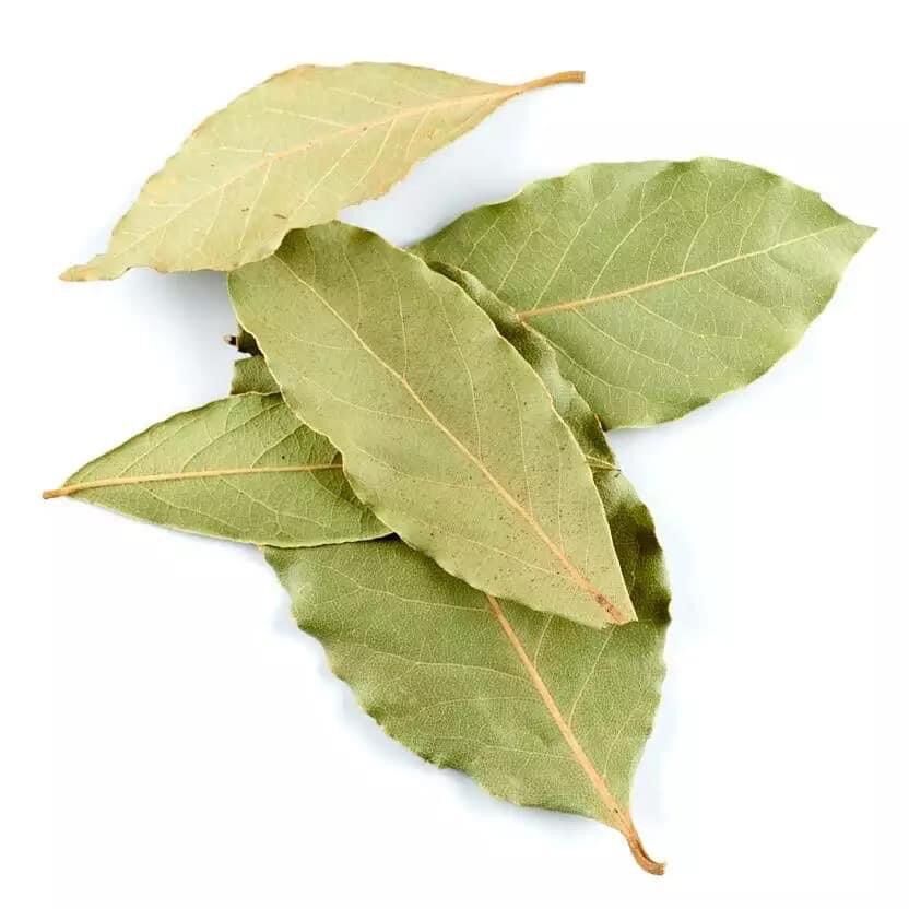 Lá nguyệt quế khô ( bay leave) của Nga ( giao ngẫu nhiên mã bao bì)