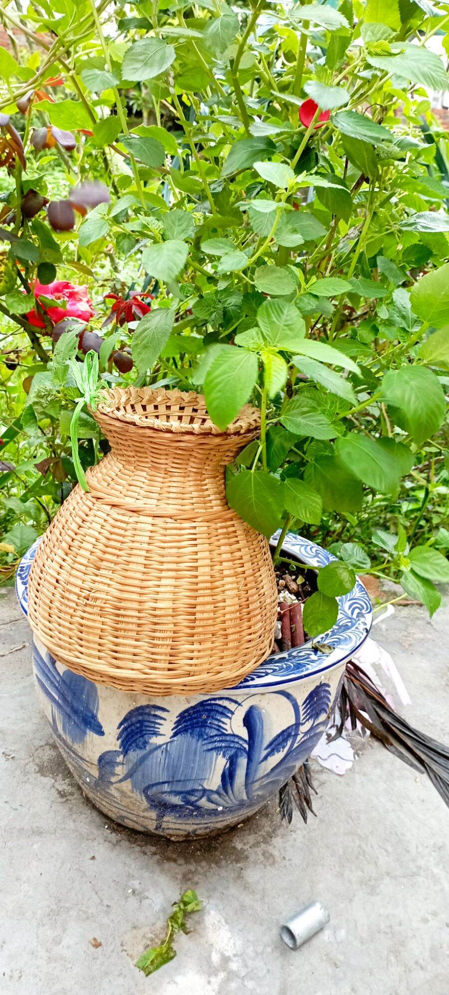 Mây tre - giỏ đựng cua ,cá derco trang trí 21 cm
