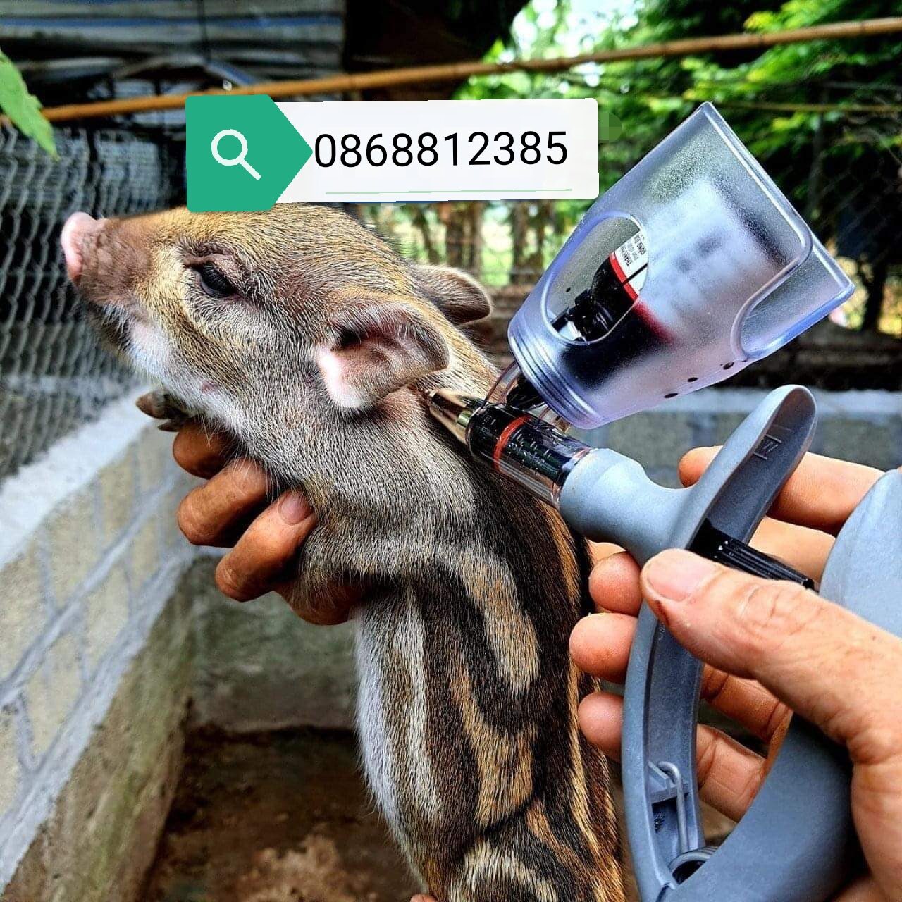Xilanh tự động tiêm liên tục hsw đức 2cc/5cc - 0868812385