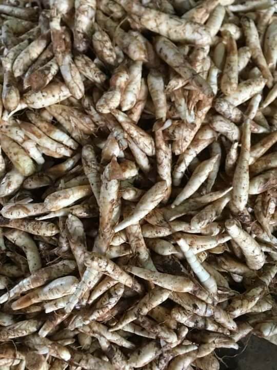 Bột Bình Tinh 500g