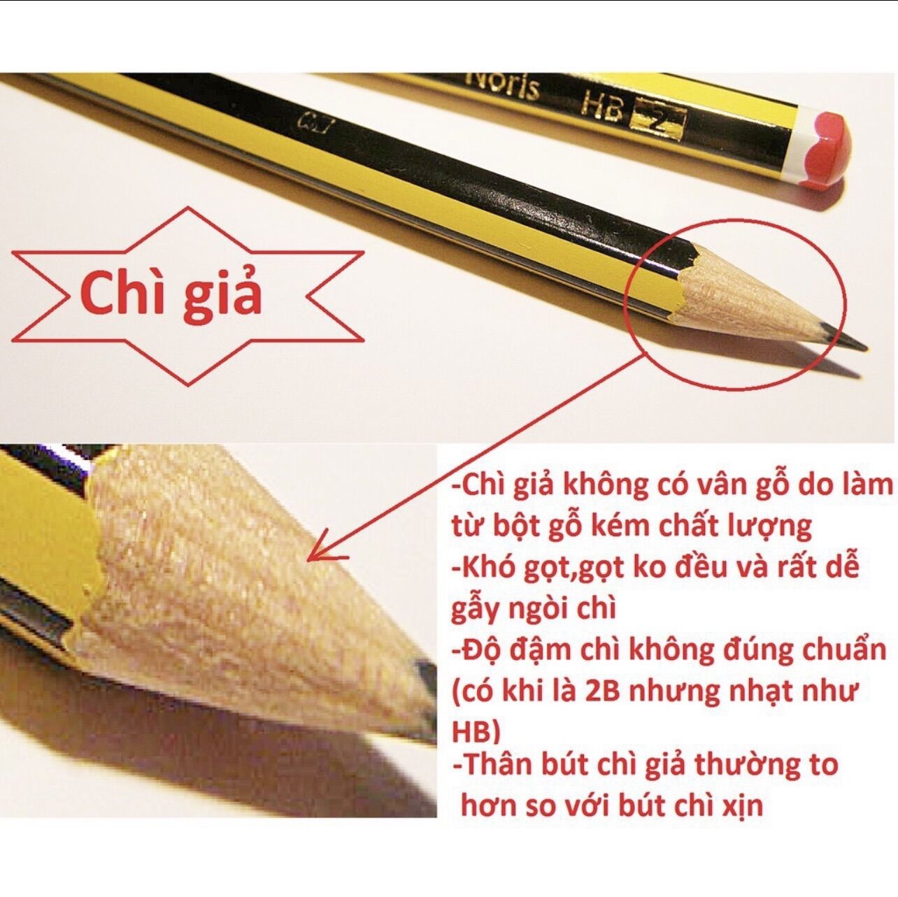 Hộp 12 bút chì đức Steadtler 120  ( 2B,HB )
