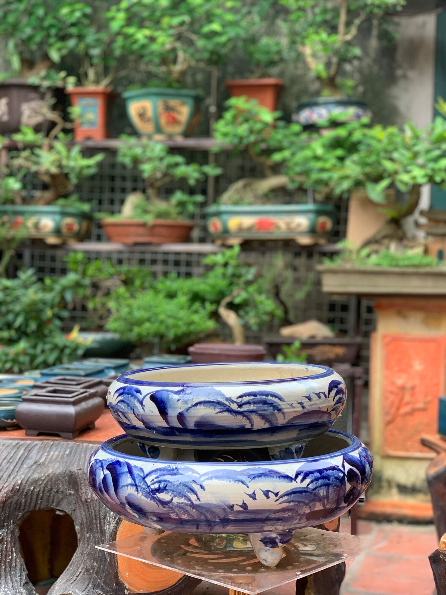 Chậu cảnh trồng cây bonsai
