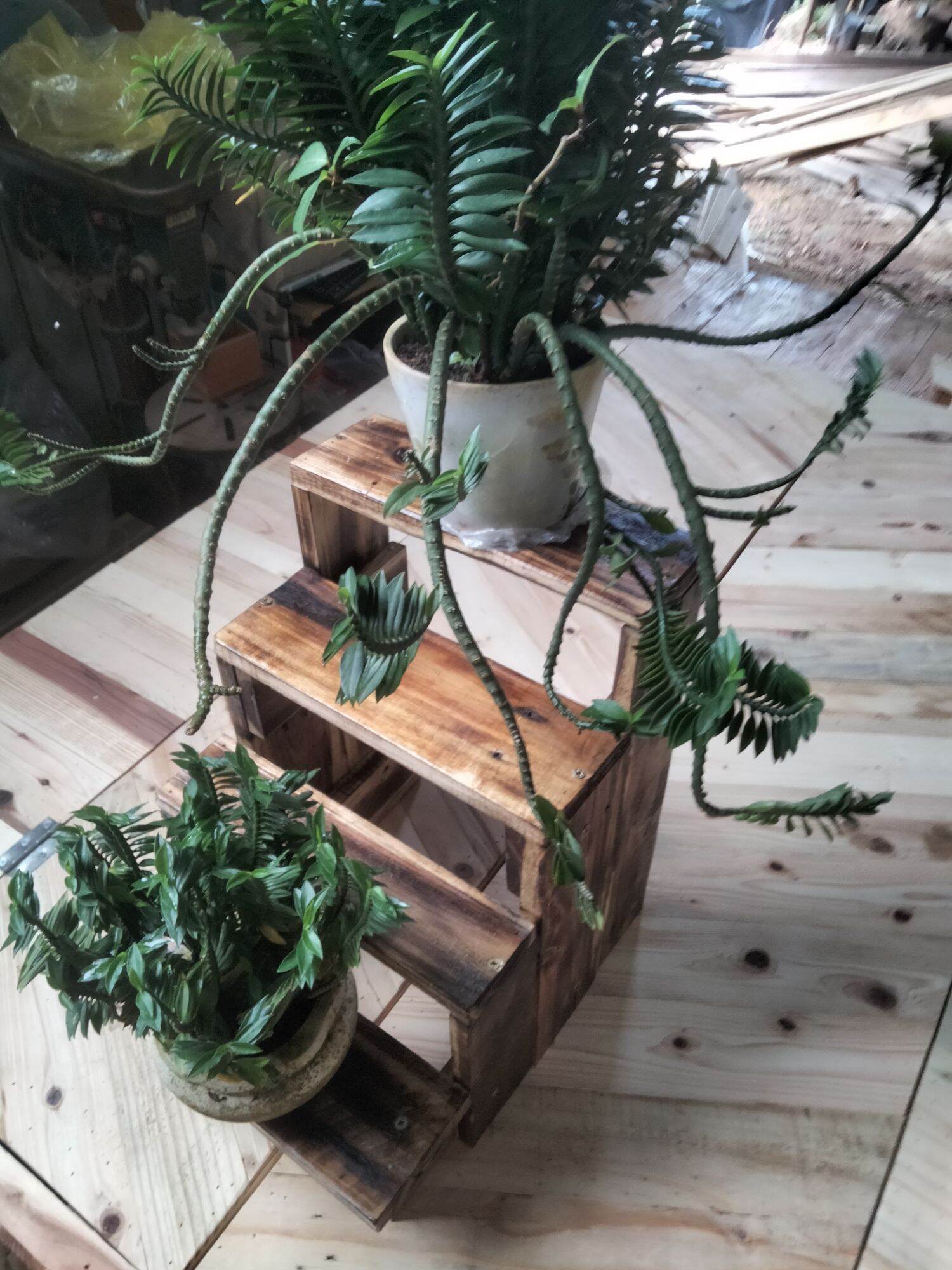 Kệ để chậu hoa, cây cảnh nhỏ ( cao 40cm, rộng 30cm, dài 40cm).