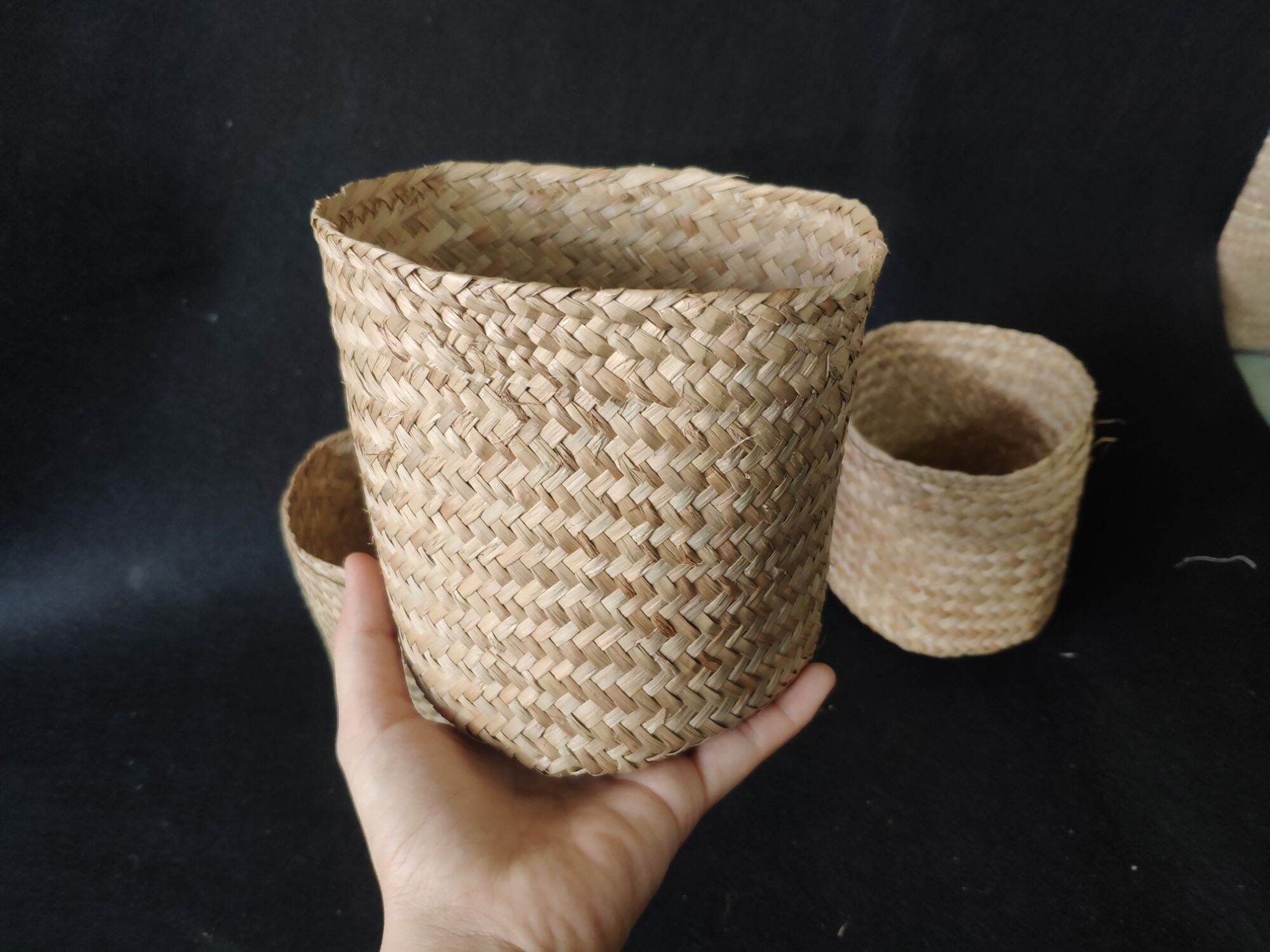chậu cói nhỏ