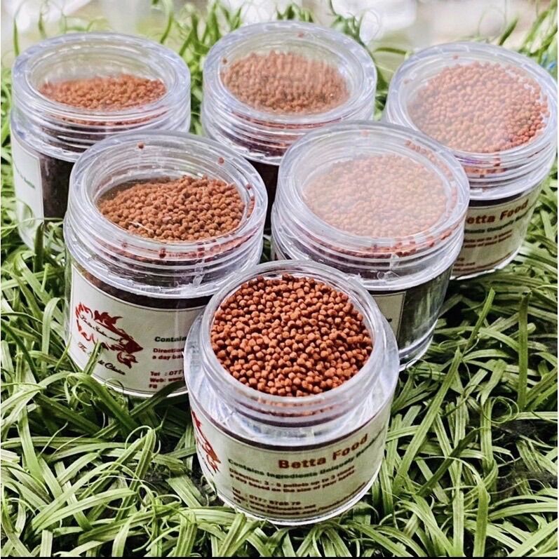 Thức ăn Công Thức Chuyên Cho Betta ,Cá Xiêm ( Hủ Nhỏ )