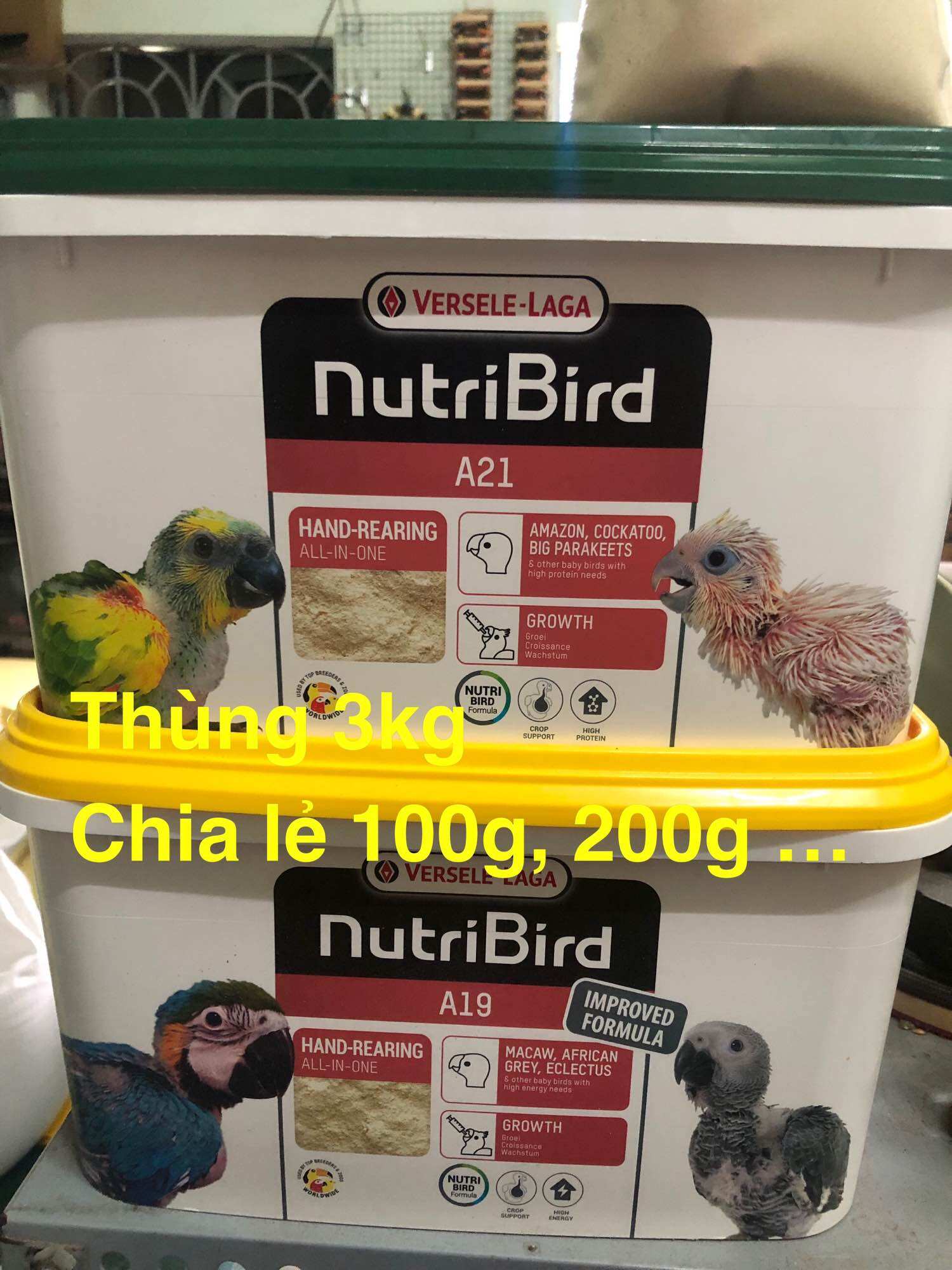 Bột cho vẹt a21/A19 50k/ 100gr (thùng 3kg chiết lẻ)
