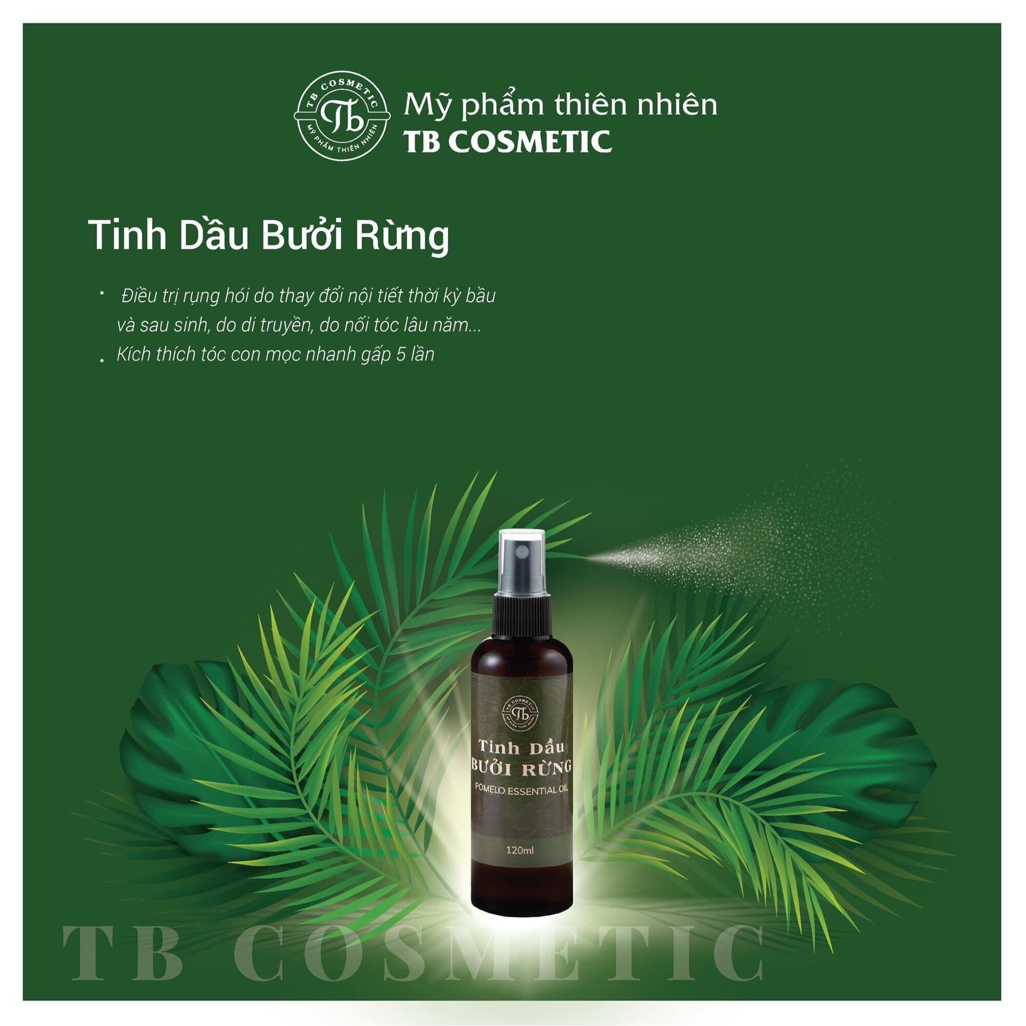 Tinh dầu Bưởi Rừng TB cosmetic giảm rụng và kích thích mọc tóc