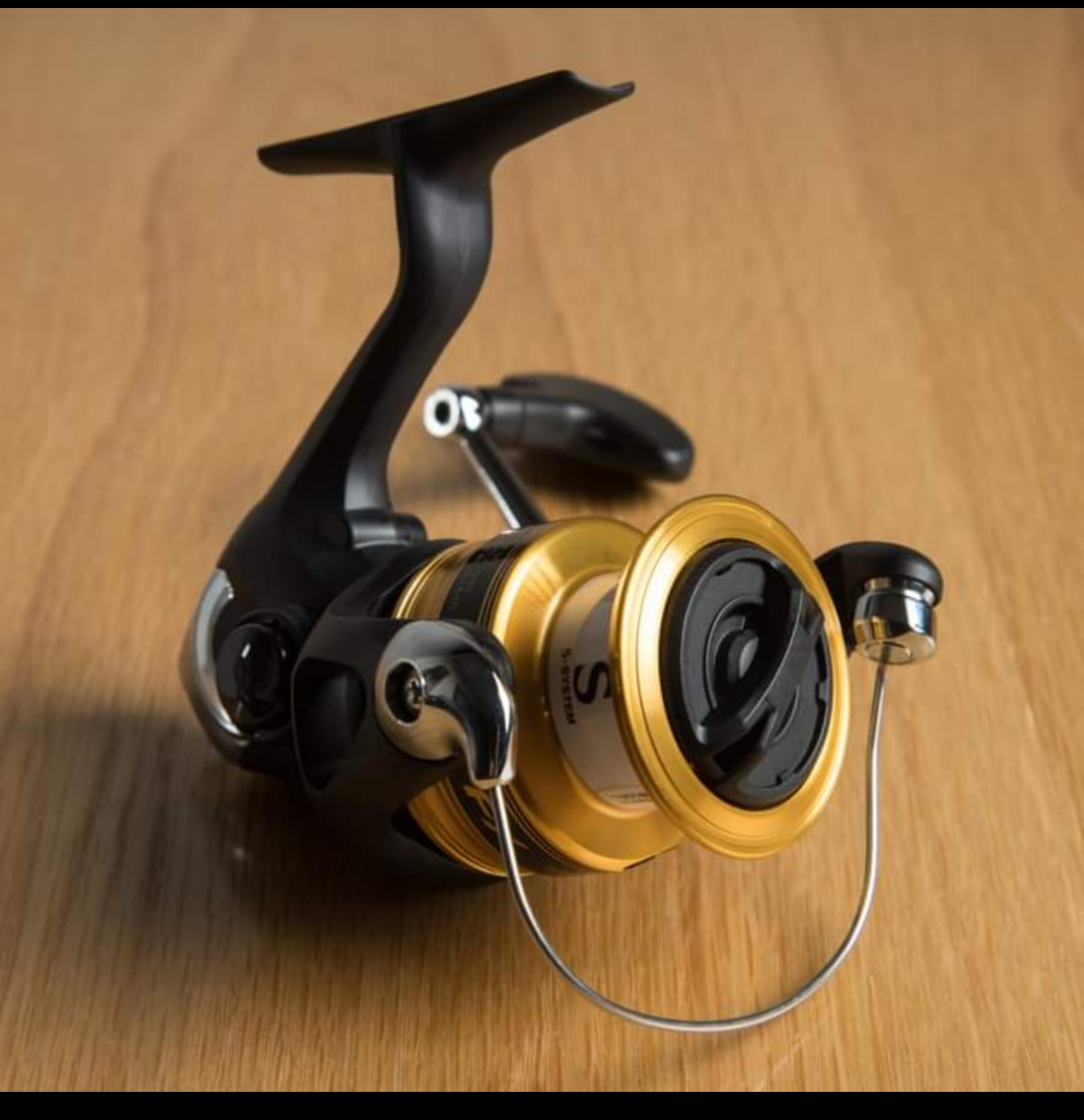 Máy câu cá (Chính hãng) Shimano FX C3000