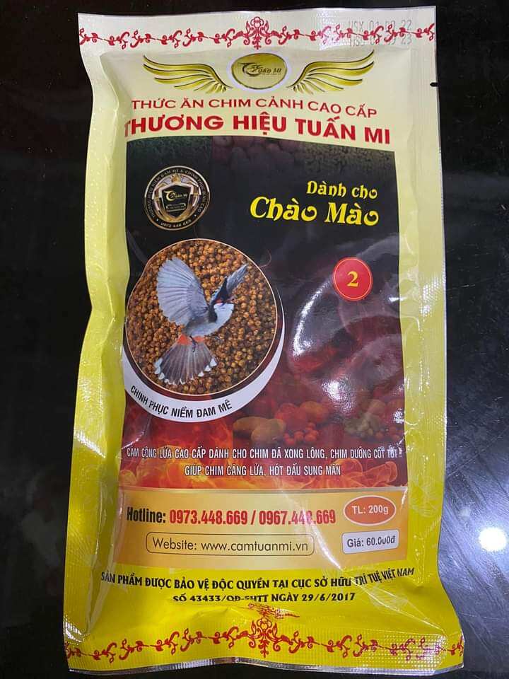 Cám chào mào số 2