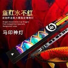 ĐÈN LED CÁ RỒNG MAYIN SUPER COLOUR ĐỎ CÁ KHÔNG ĐỎ NƯỚC 92cm