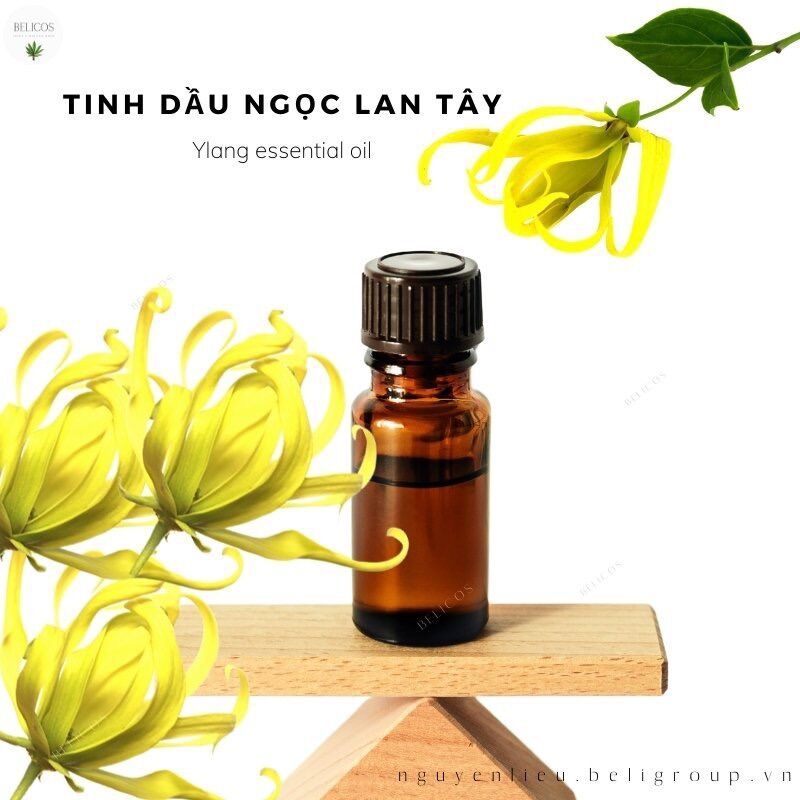 Tinh dầu Ngọc Lan Tây (Ylang Ylang essential oil) nguyên chất