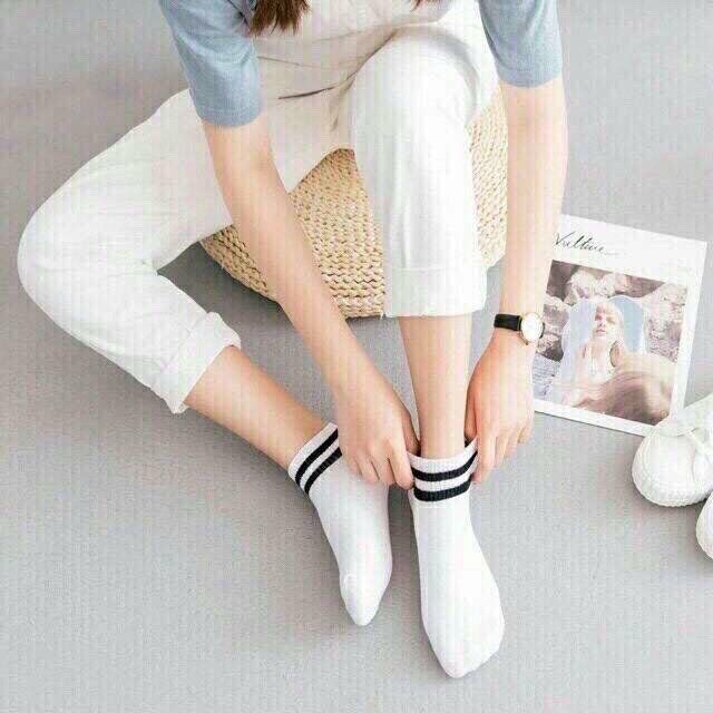 Tất kẻ sọc hàn quốc