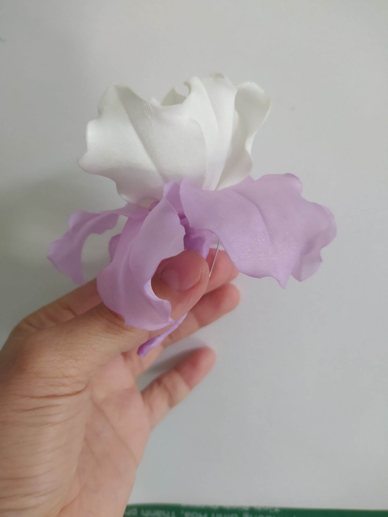 Hoa diên vĩ cài áo handmade Canto màu trắng tím