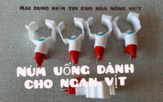 10 núm uống tự động cho vịt ngan