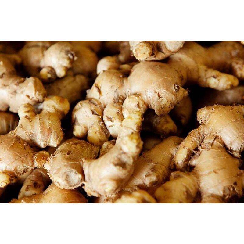 củ gừng ta 500g