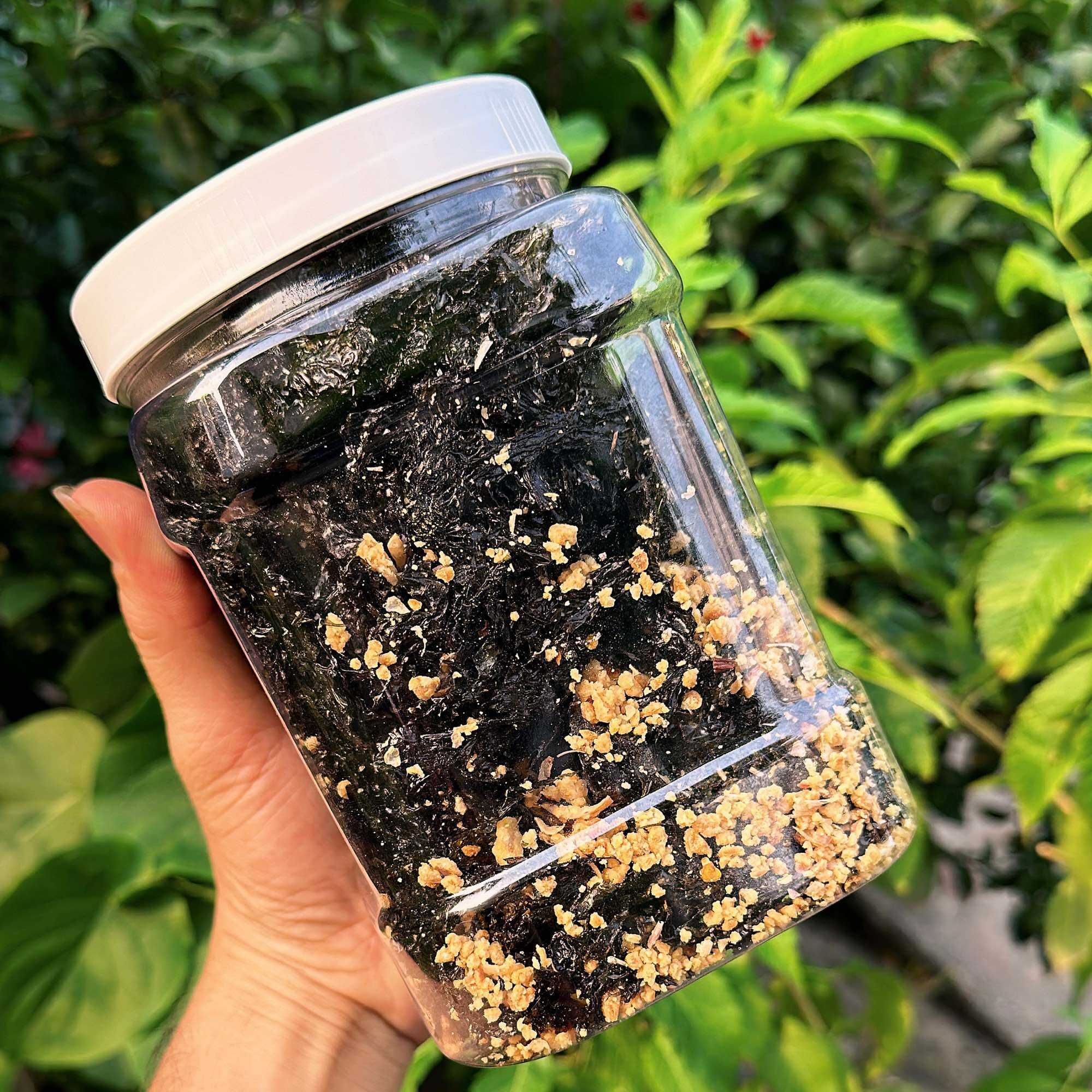 Rong Biển Cháy Tỏi - Rong biển lắc tỏi ớt Hũ Vuông 200gram
