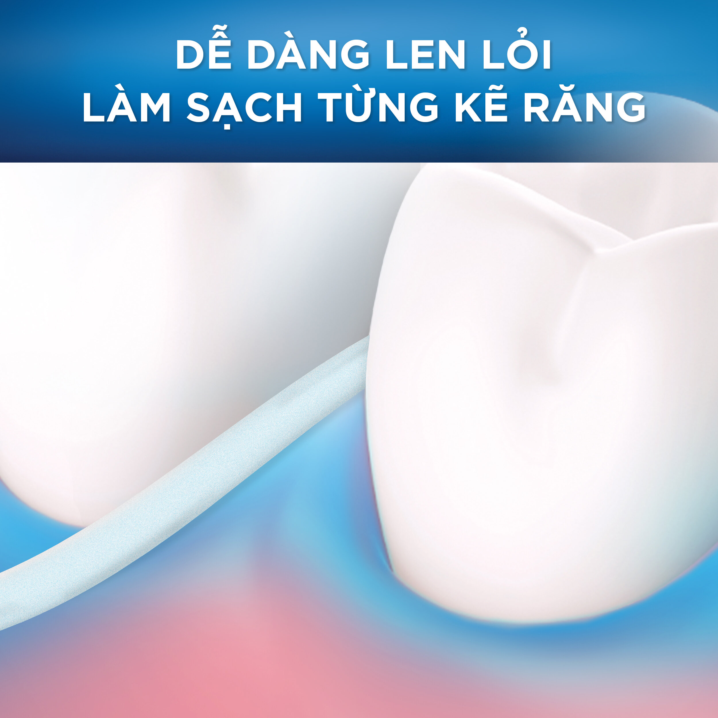Combo 2 Chỉ Nha Khoa ORAL-B Essential Floss Bạc Hà Hộp 50M