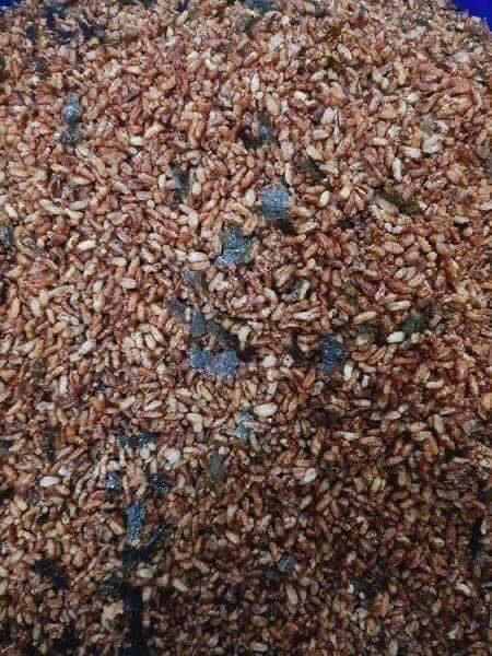 Gạo lứt sấy rong biển - đồ ăn vặt -snack- cốm gạo lứt