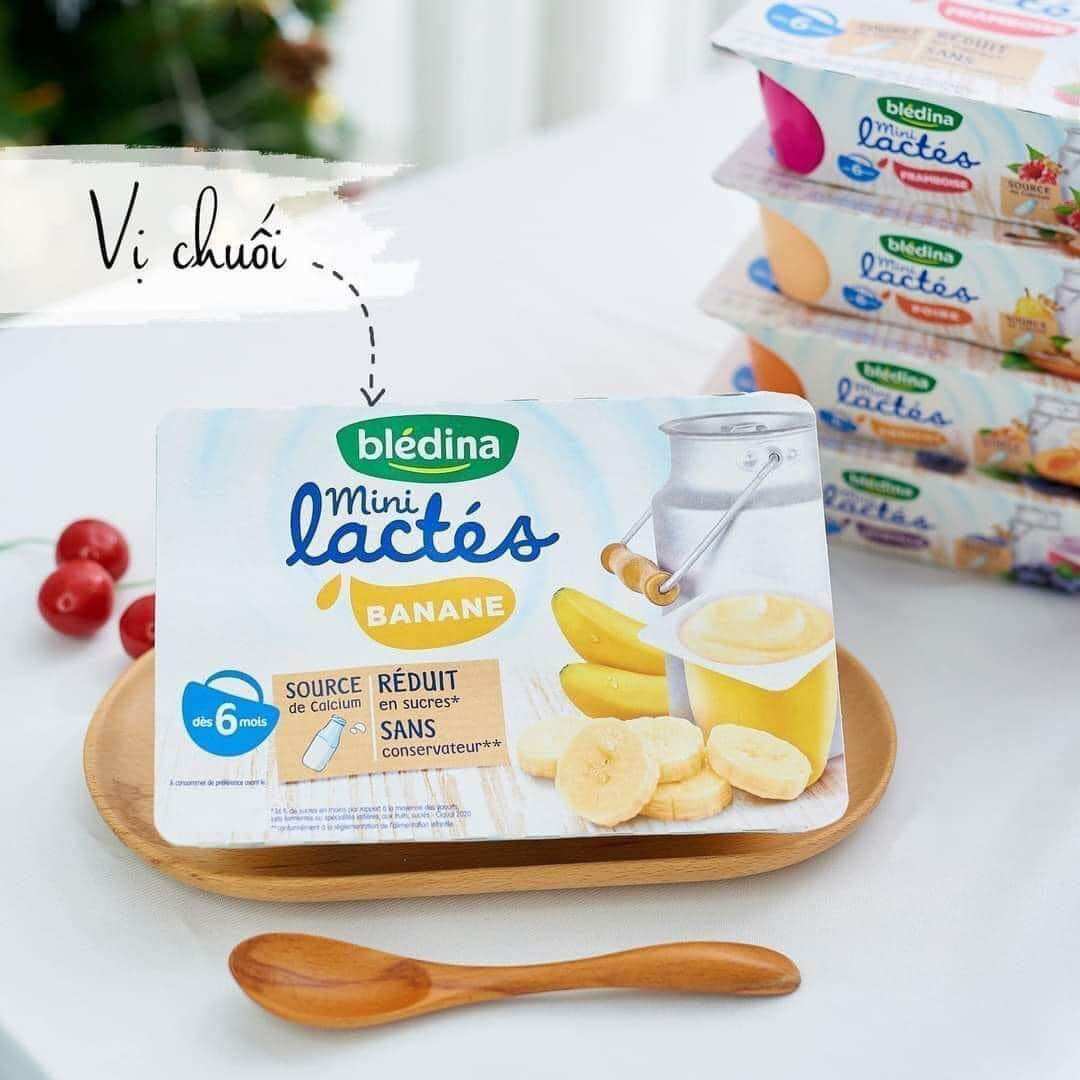 Sữa chua Bledina của Pháp