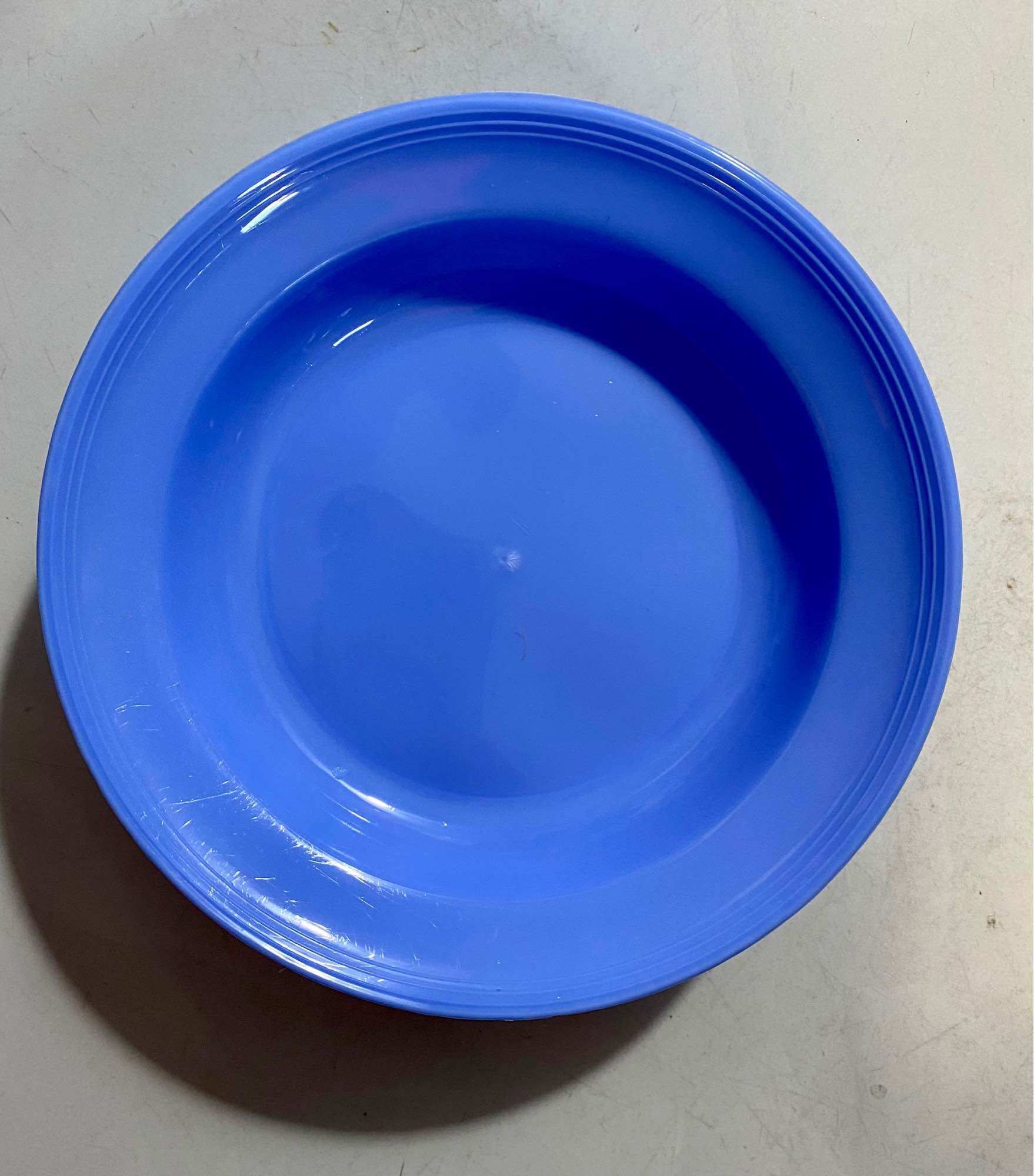 🏵️ Set 10 Dĩa Nhựa, Nhiều Màu, Nhỏ Xíu (13cm)