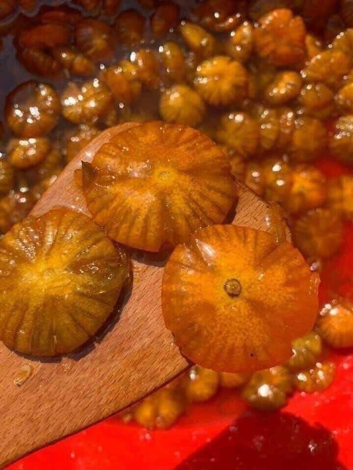 🍊TẮC XÍ MUỘI HOA  ĐƯỜNG PHÈN🍊🍊