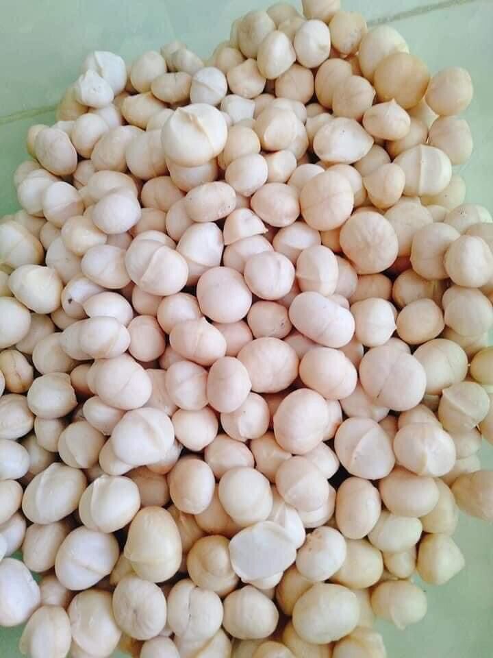[VIP] nhân macca sấy đẹp 250g