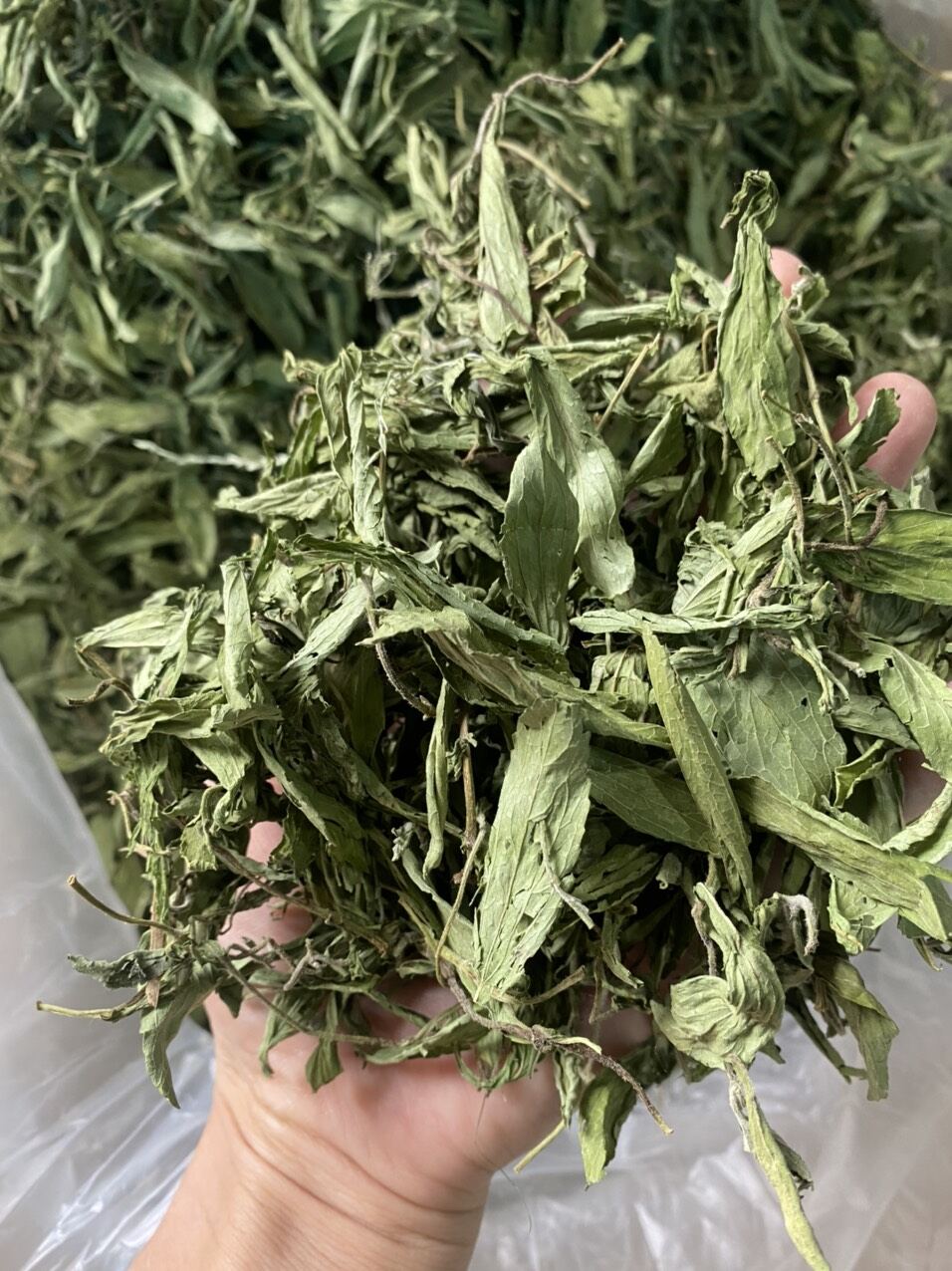 Cỏ ngọt sấy lạnh 100g