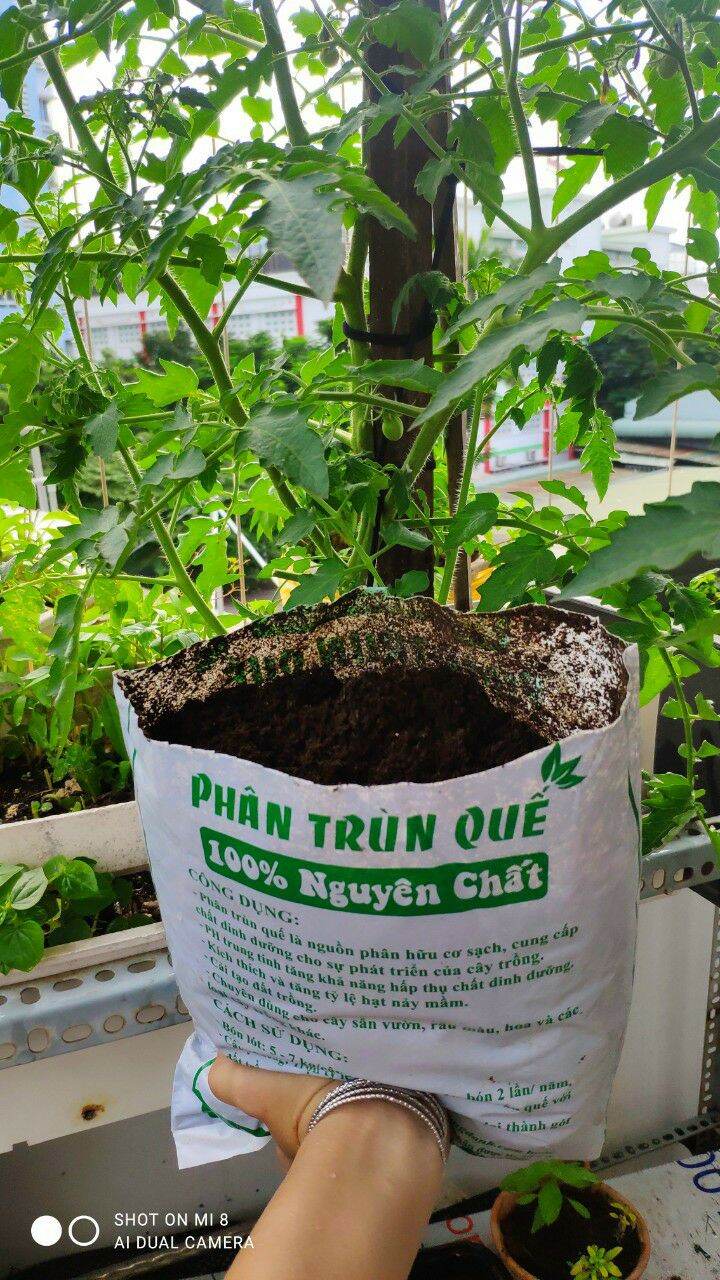 Phân bón trùn quế túi 2kg