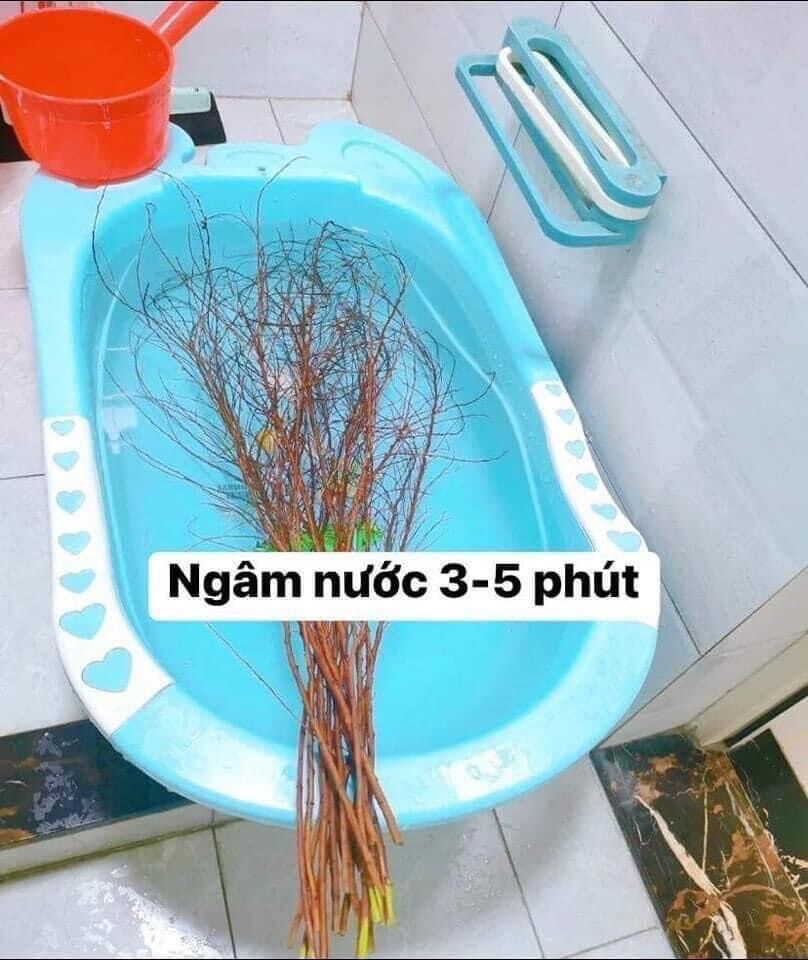 Combo 1 bó 10 cành tuyết mai đang nụ ( hoa chơi 5 tuần)