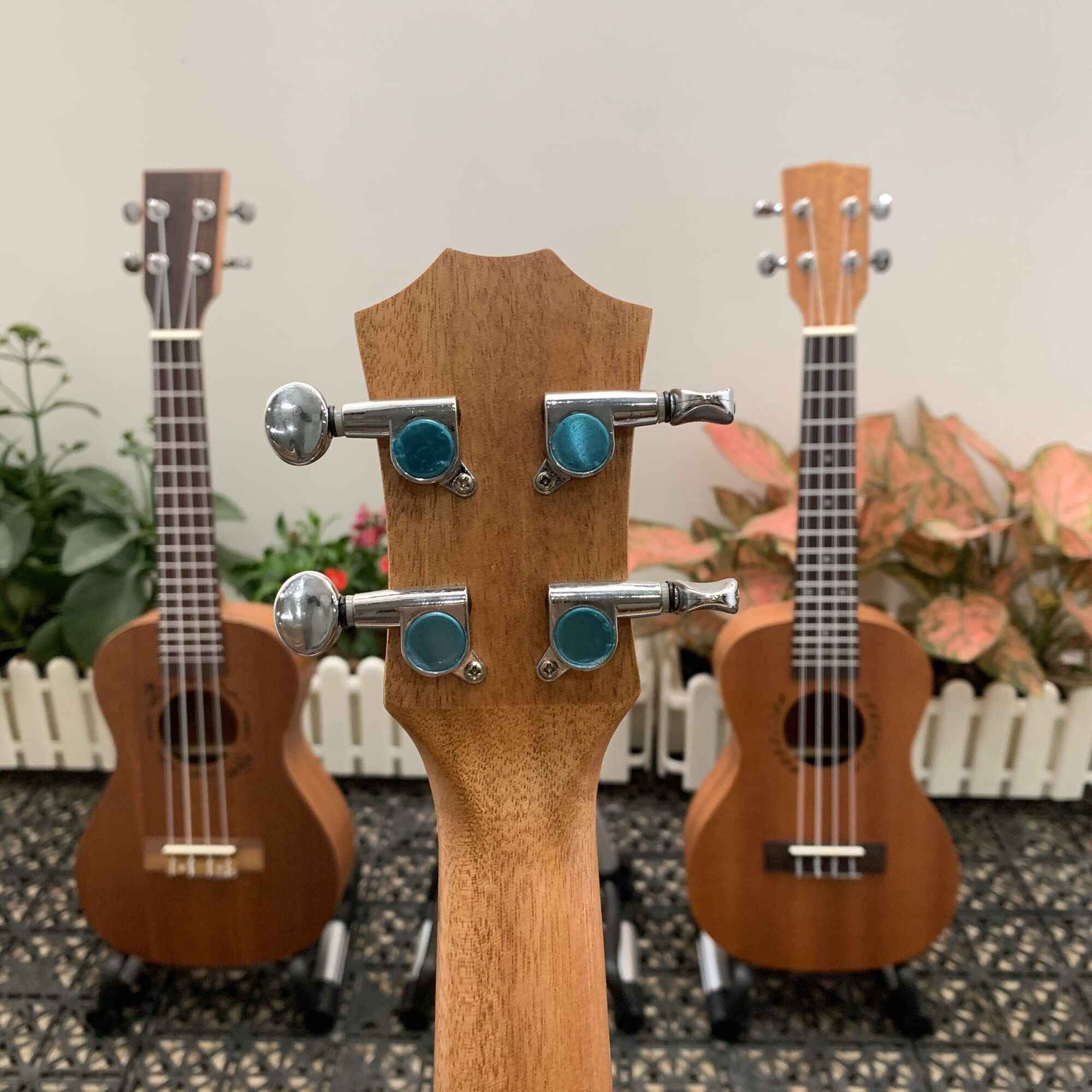 (RẺ VÔ ĐỊCH) ĐÀN UKULELE CONCERT BWS KẺ VIỀN