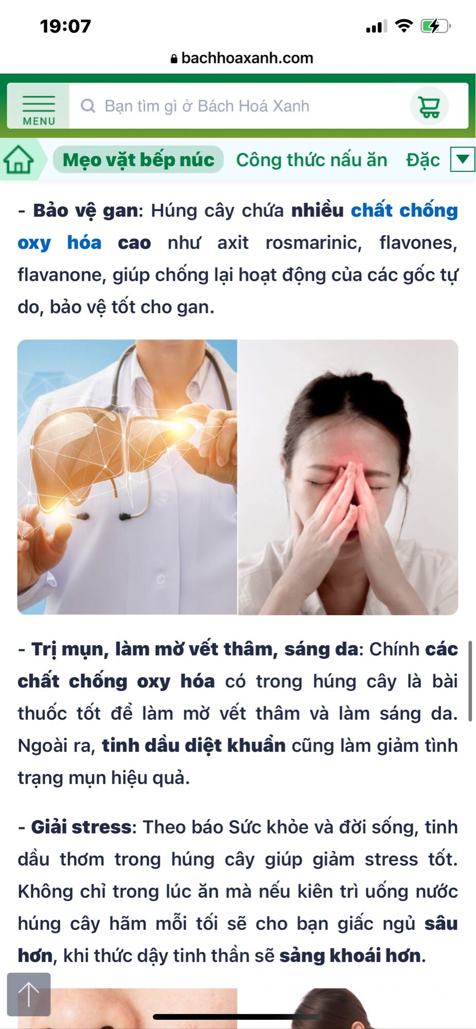 Chậu rau húng cây