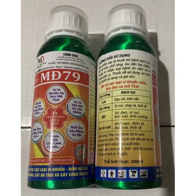 Quản ly sơ đen cho mít thái MD79