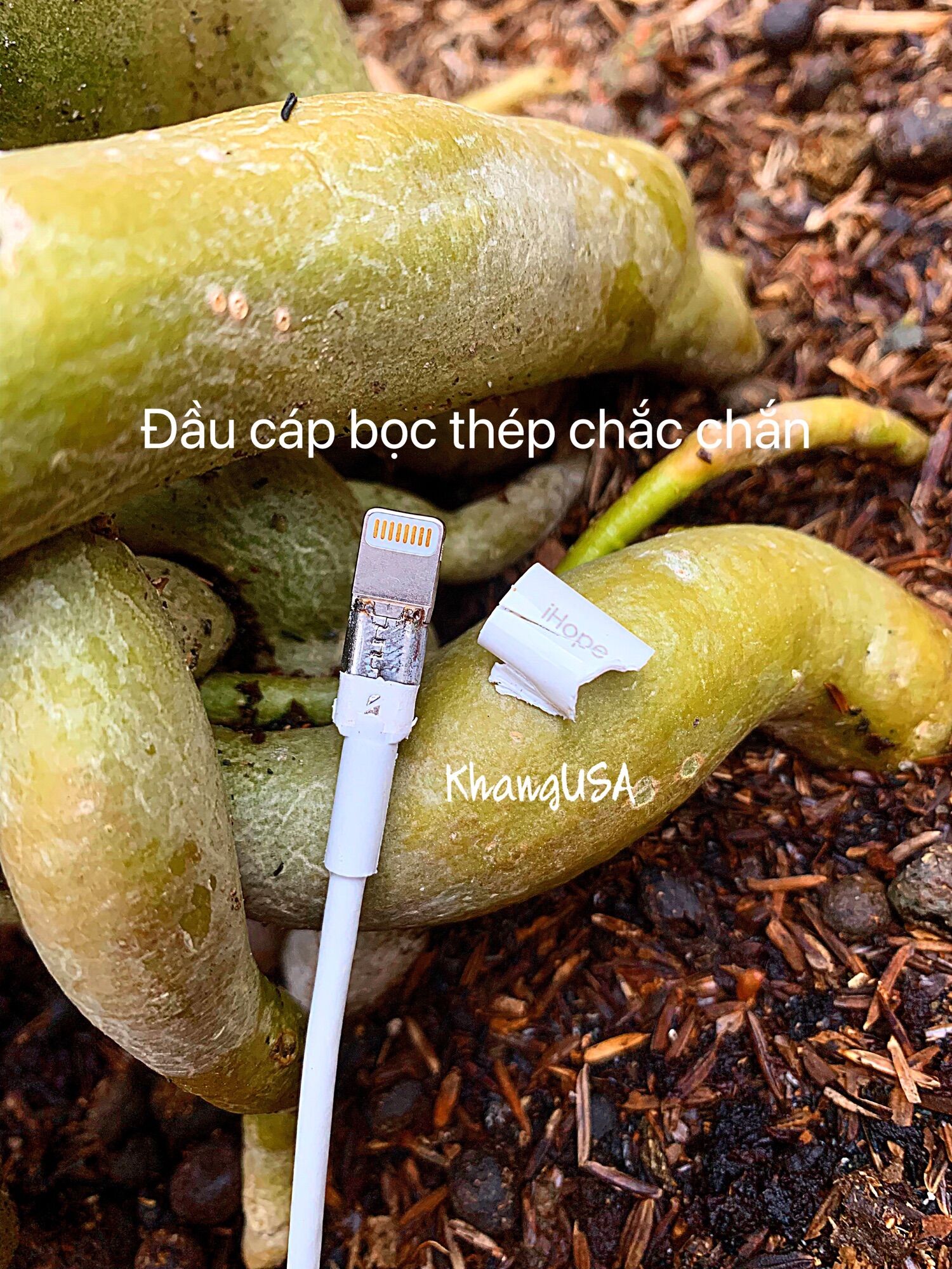Cáp IHope A to lightning 19cm chuẩn MFI