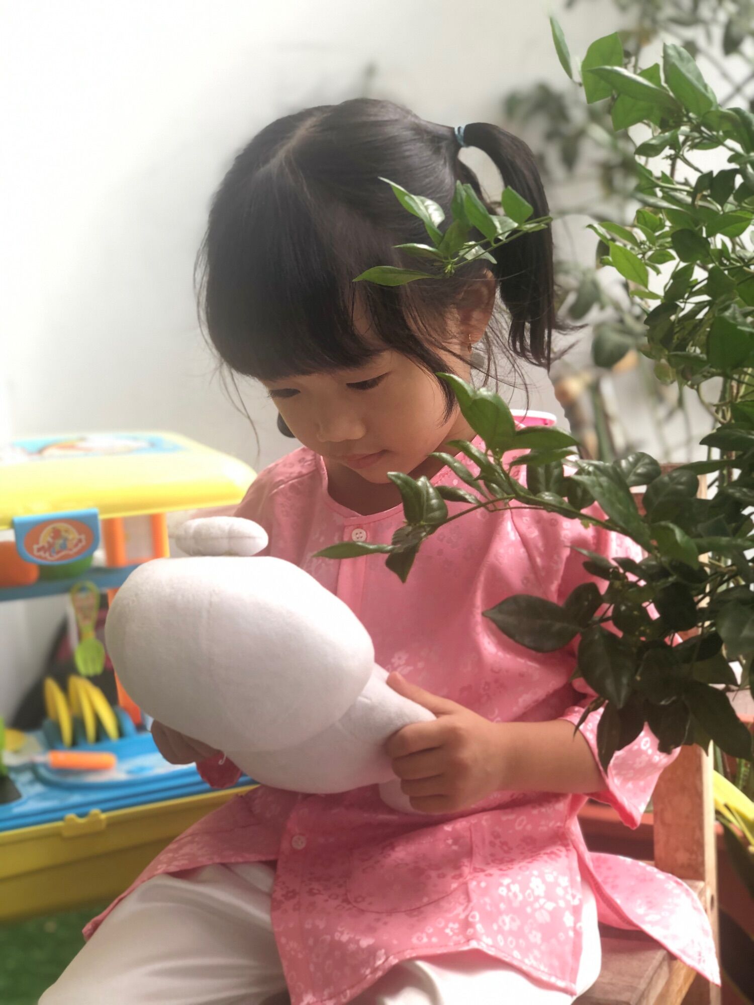Bà Ba Gấm Bé Gái