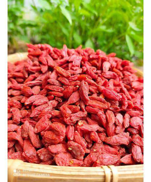 Kỷ Tử Đỏ Ninh Hạ  Khô Túi 100g