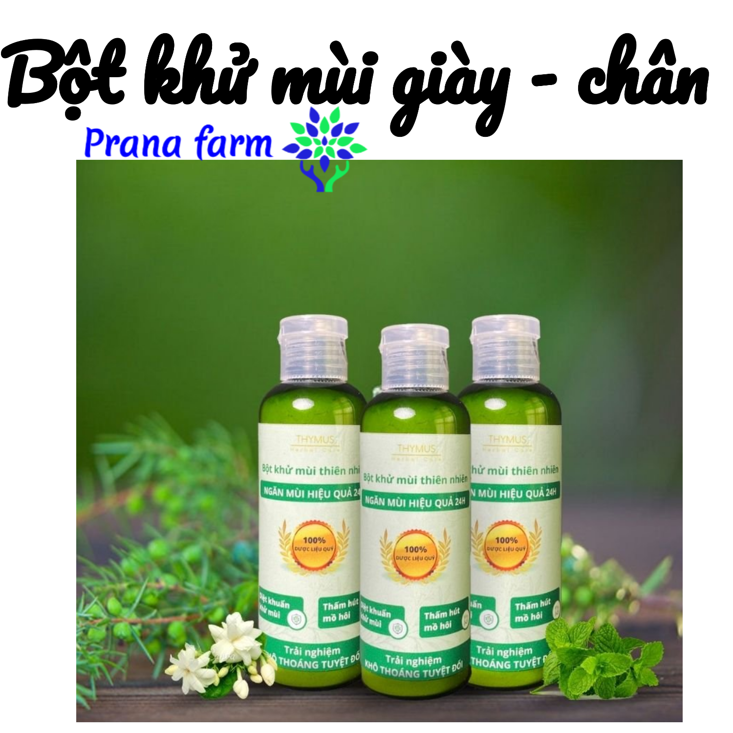 Bột khử mùi giày khử mùi hôi chân thối chân Thymus 70g, khử mùi thối chân giúp khô thoáng, thơm chân