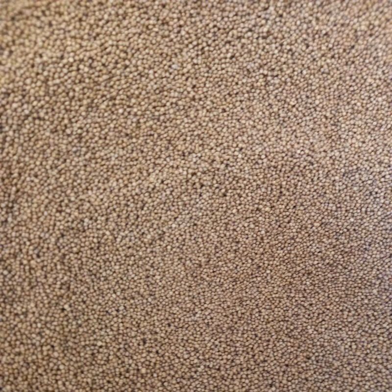 Thức ăn 1mm, (500 gam/gói), thức ăn cá koi, cá 3 đuôi, cá guppy betta …