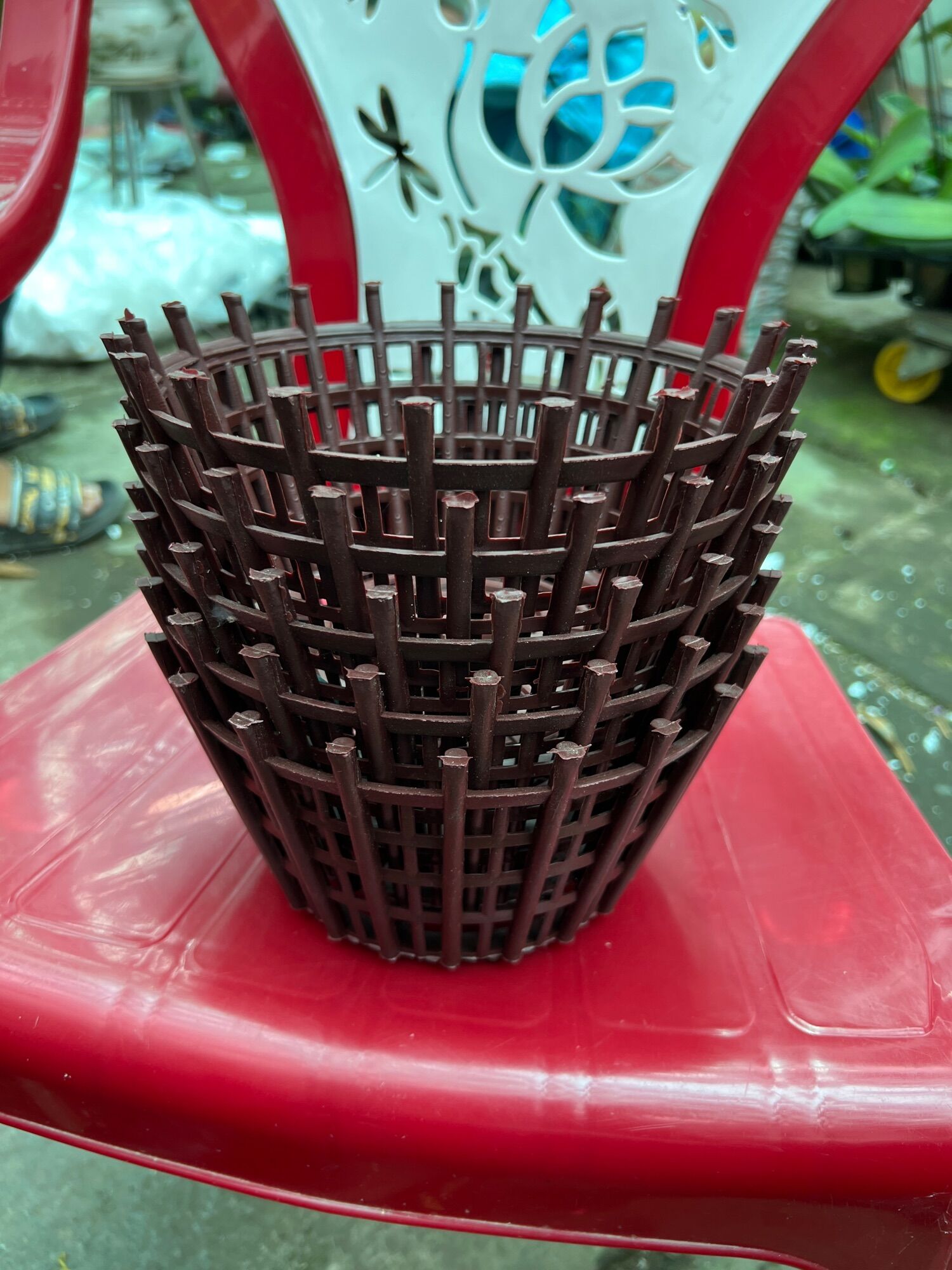 Combo 5 chậu nhựa trồng lan fi20